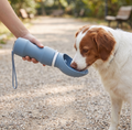 Snoot & Snuffle Travel Water Bottle