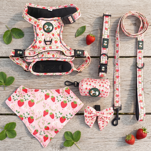 Snoot & Snuffle Walk-Ready Harness Set